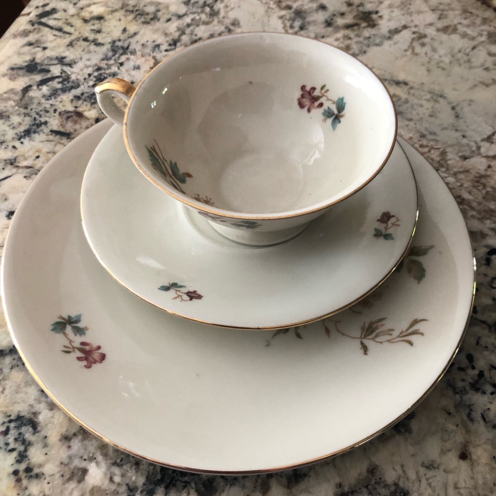 Gold-Trim White  Bavaria F Porcelain Teacup, Saucer &  8” Dessert Plate Set